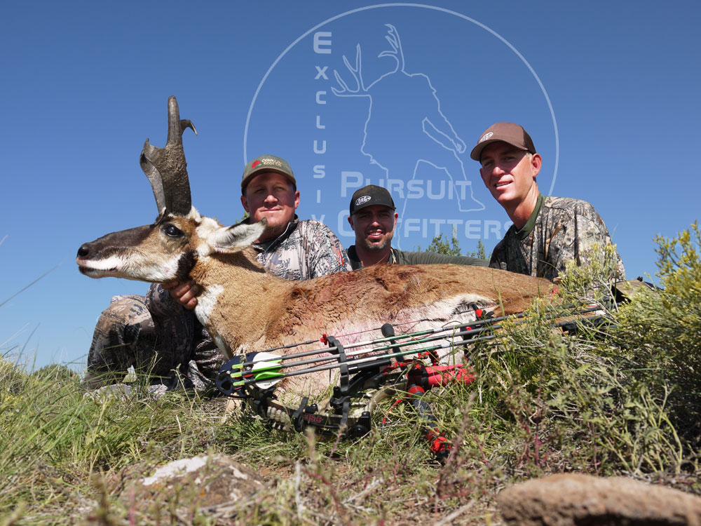 Cody, Craig & Lee lived an awesome last day bowhunting moment.  