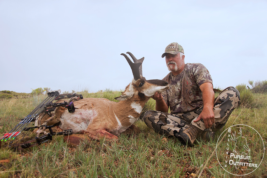 Byron Parsons Archery Pronghorn Antelope was decoyed in close. 