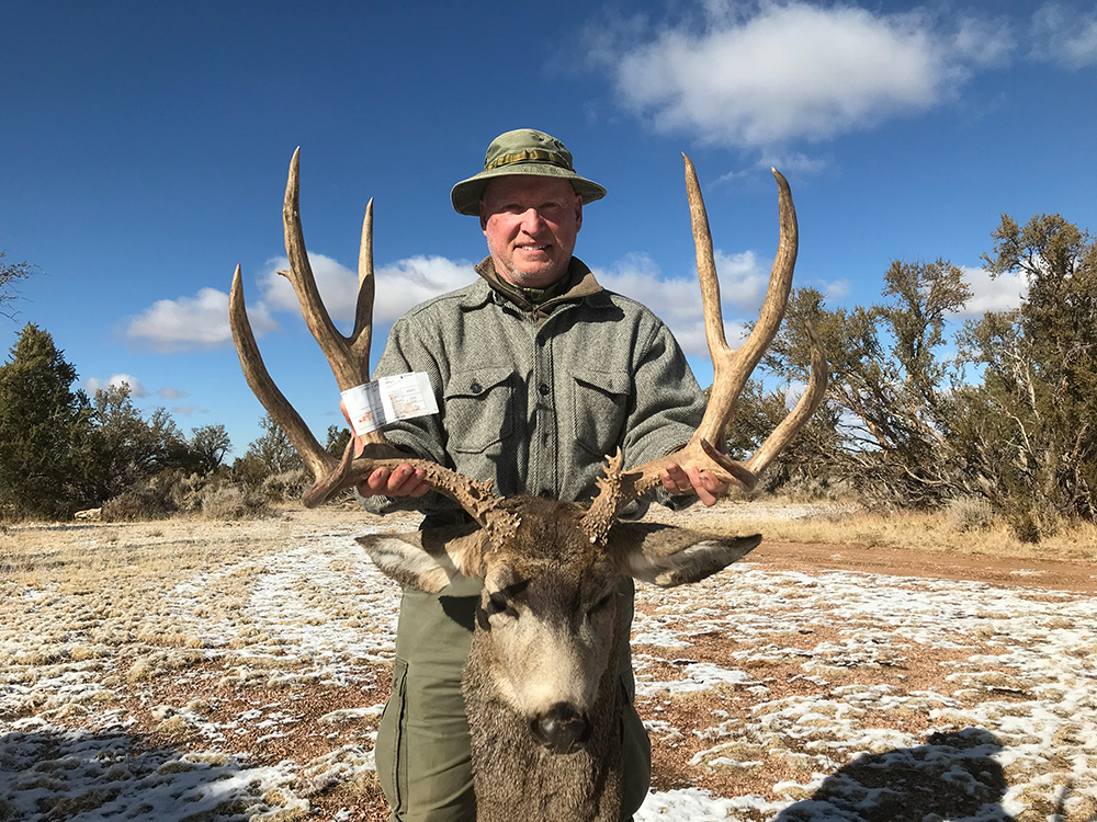 Mule Deer Pictures 2022