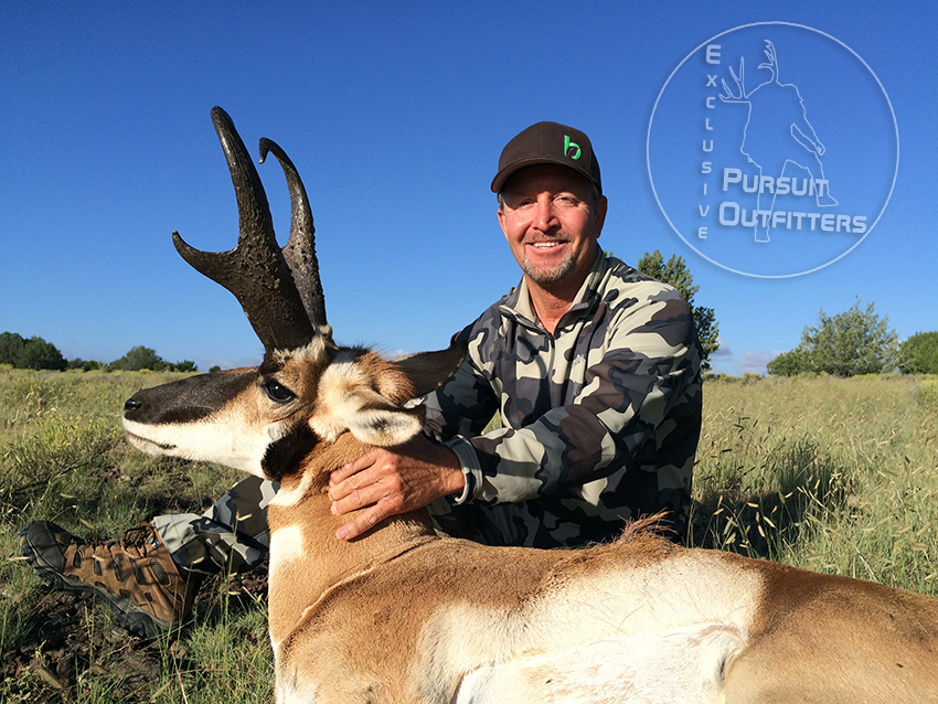 Arizona Guided Trophy Pronghorn Antelope Hunts – Exclusive Pursuit ...