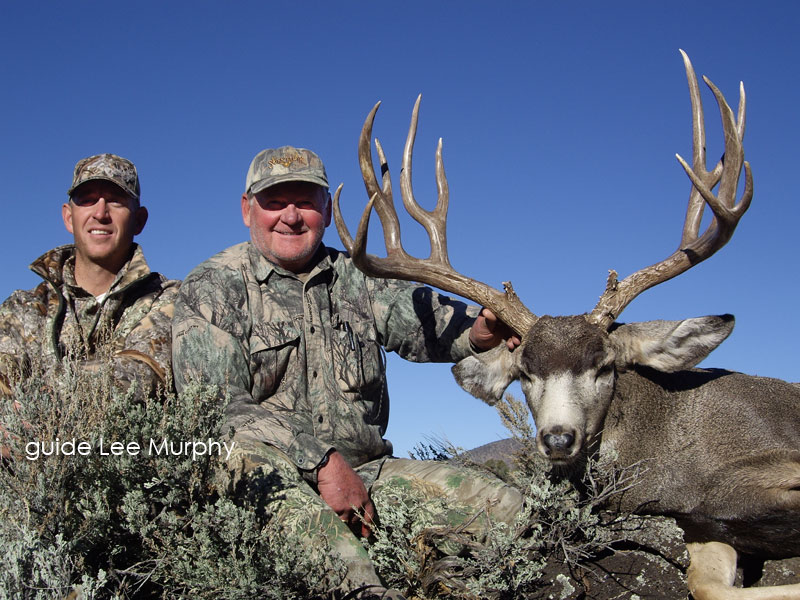 200+ Mule Deer