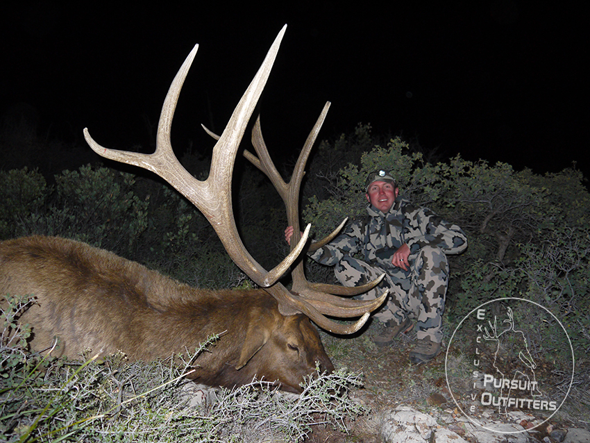 Homewood's bull had a giant back end!