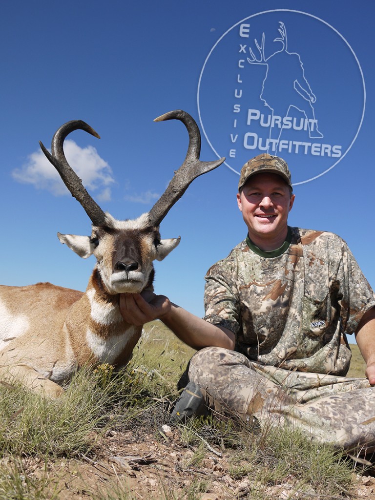 pronghorn antelope hunts