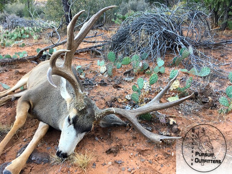 Unit 13B Mule Deer Hunts - Exclusive Pursuit Outfitters, LLC