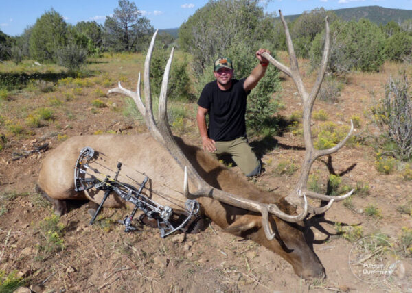 Jamey's Giant Archery Bull Elk