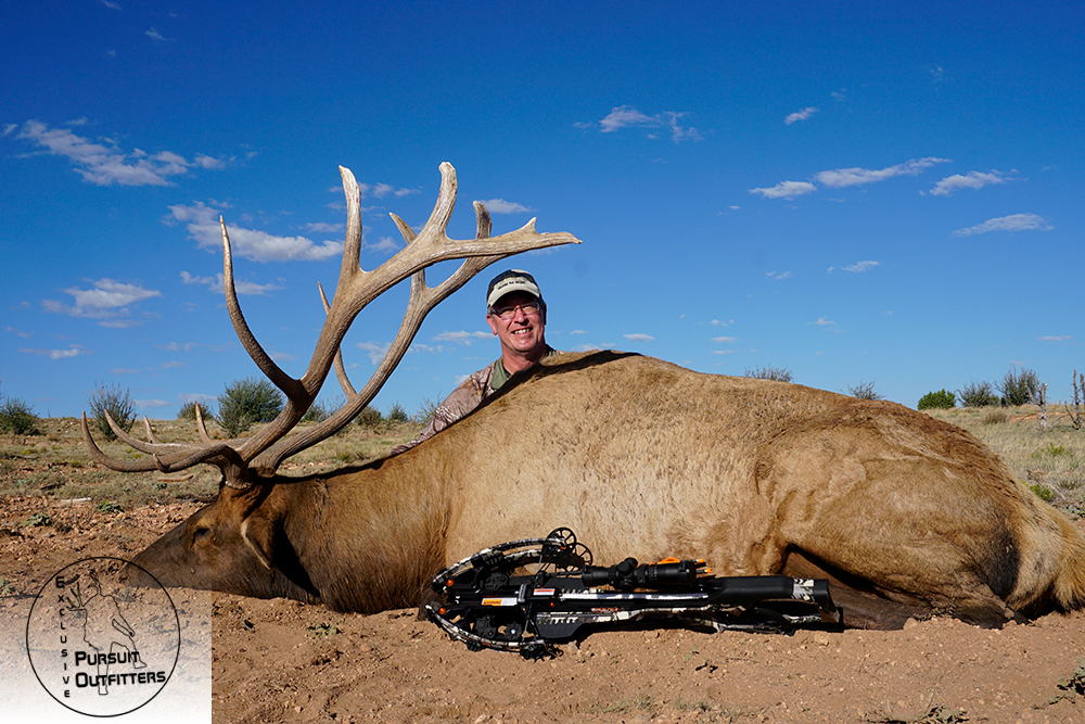 Arizona Guided Trophy Elk Hunts – Exclusive Pursuit Outfitters, LLC