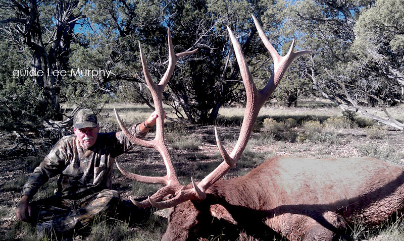 Arizona Guided Trophy Elk Hunts – Exclusive Pursuit Outfitters