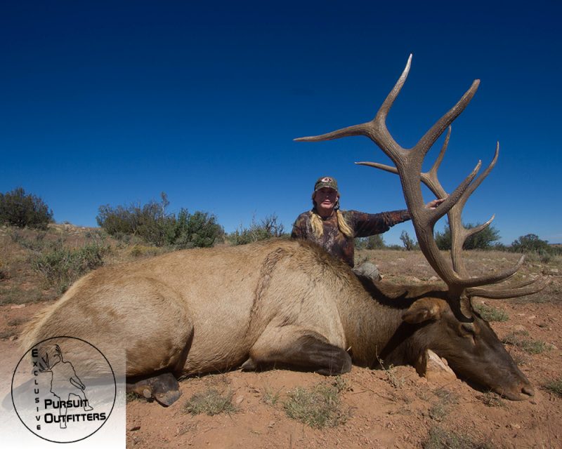 Arizona Guided Trophy Elk Hunts – Exclusive Pursuit Outfitters, LLC