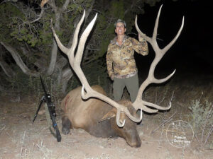 Giant Arizona Elk