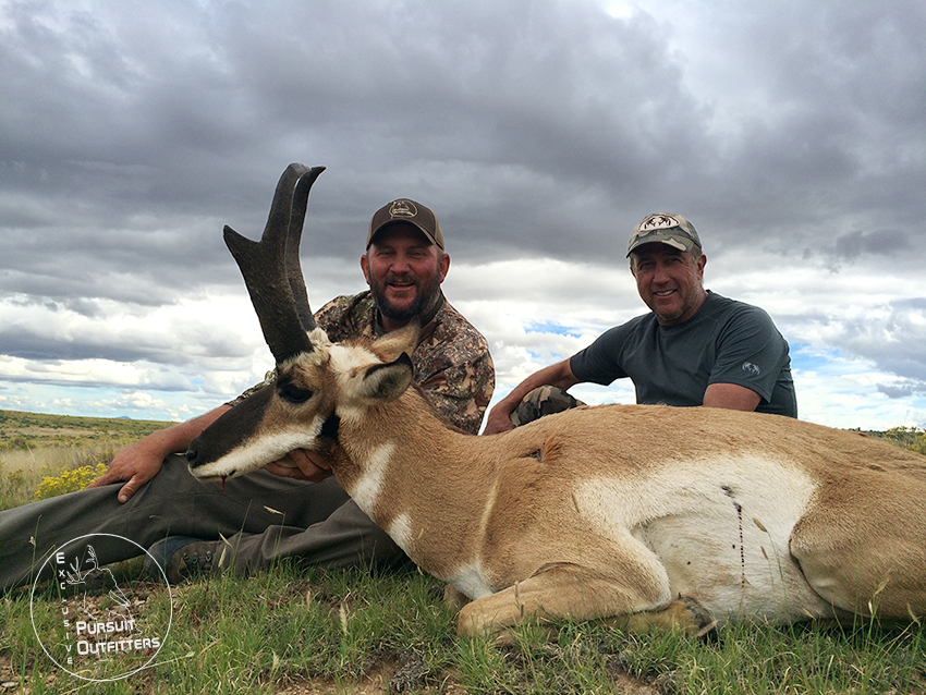 Arizona Guided Trophy Pronghorn Antelope Hunts – Exclusive Pursuit ...