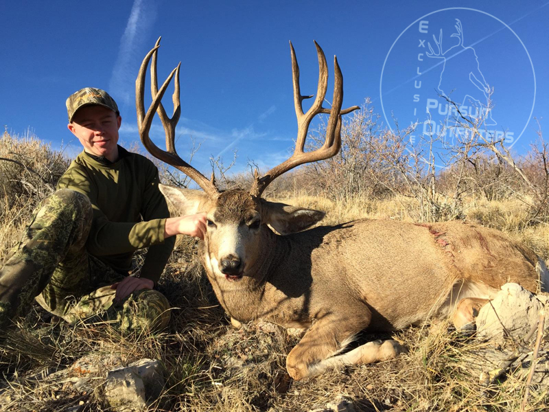 Best Arizona Mule Deer Units - Exclusive Pursuit Outfitters, LLC