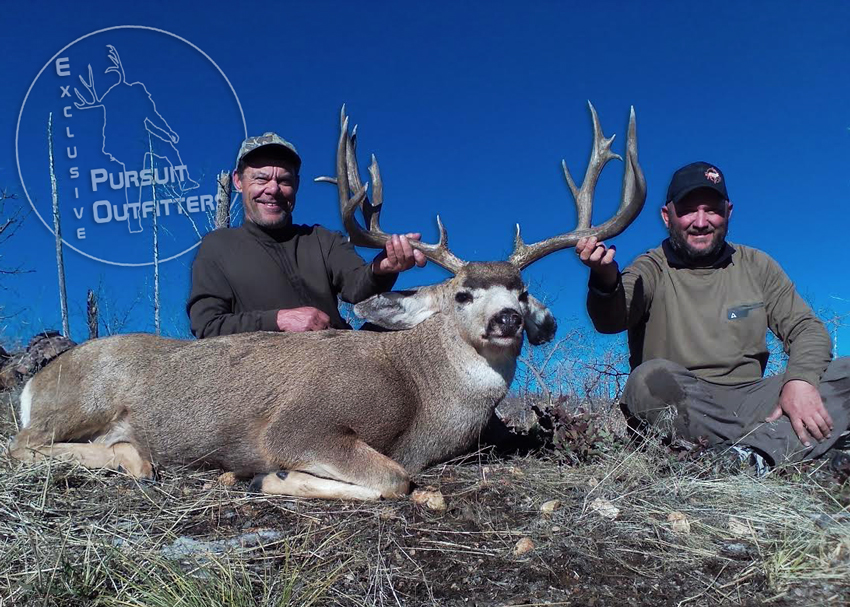 Steve Z. took an awesome 12AE mule deer with us. 