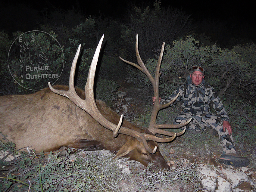 Homewood's bull had a 45" inside spread!