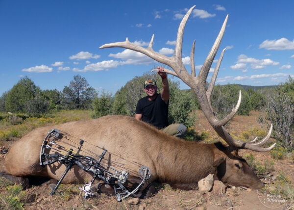 Jamey's 400 inch archery elk