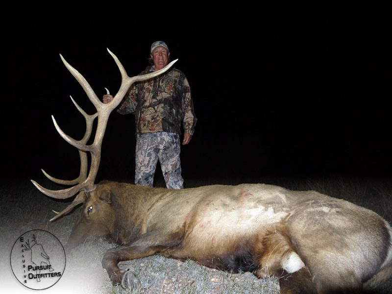 Henry with his biggest bull