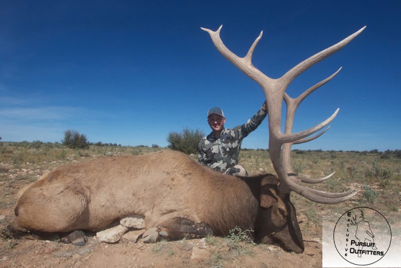 Casey with an old legend bull 