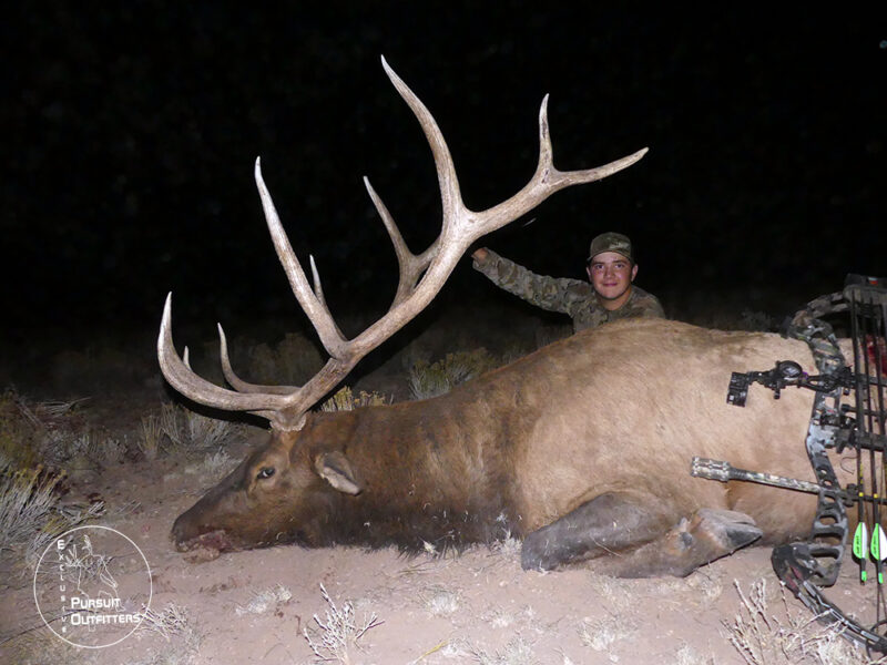 Cooper's biggest archery bull elk