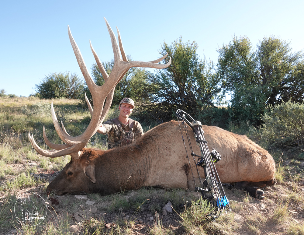 Dalton's big archery bull elk!