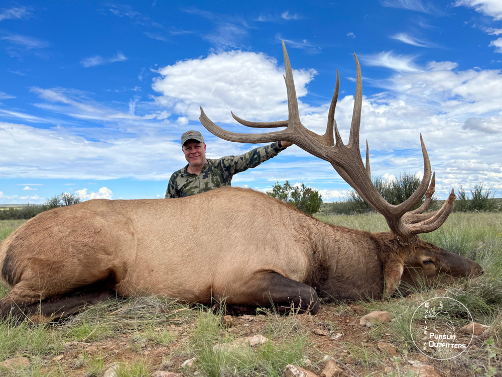 Dave's heavy big beamed archery bull!