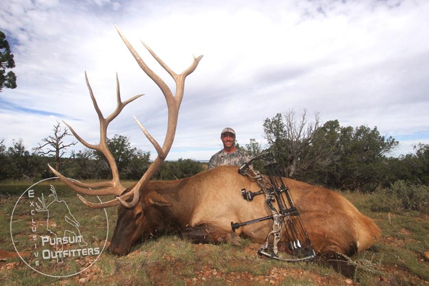 David's big archery bull elk