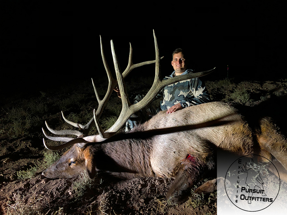 Ian's biggest archery bull