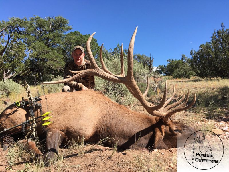 Jeremy laid the hammer down on this awesome archery elk. 