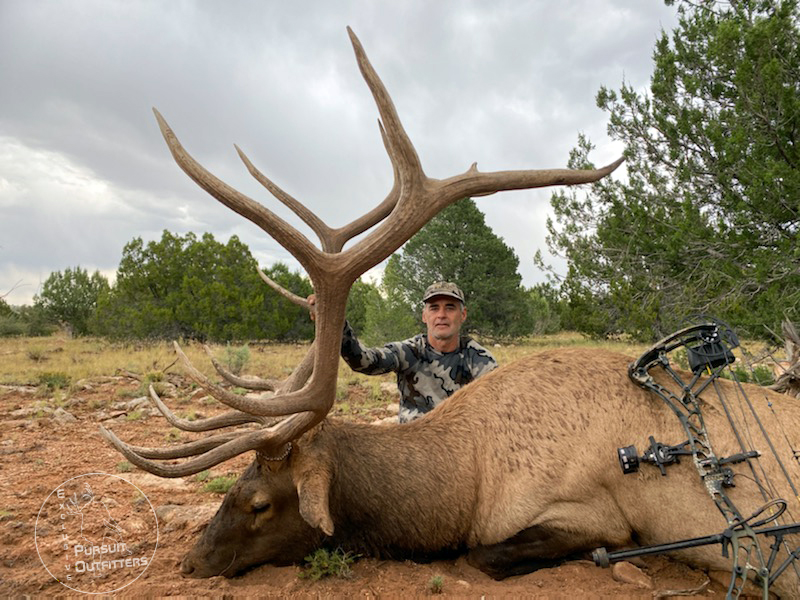 John's last day archery bull