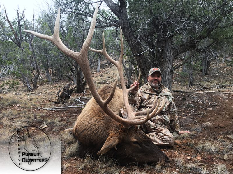 Mark w/ a solid late season bull