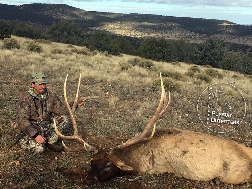 Rocky w/ his big late season bull