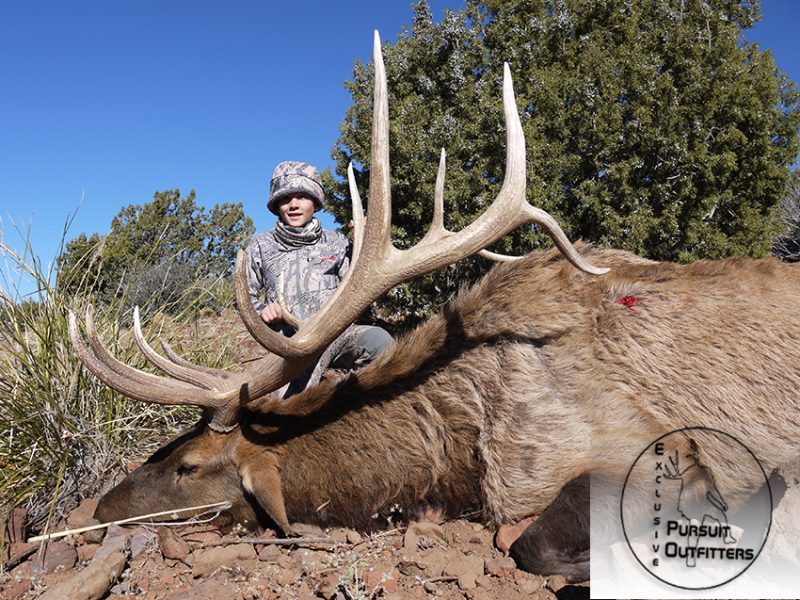 Miles w/ an old monarch elk