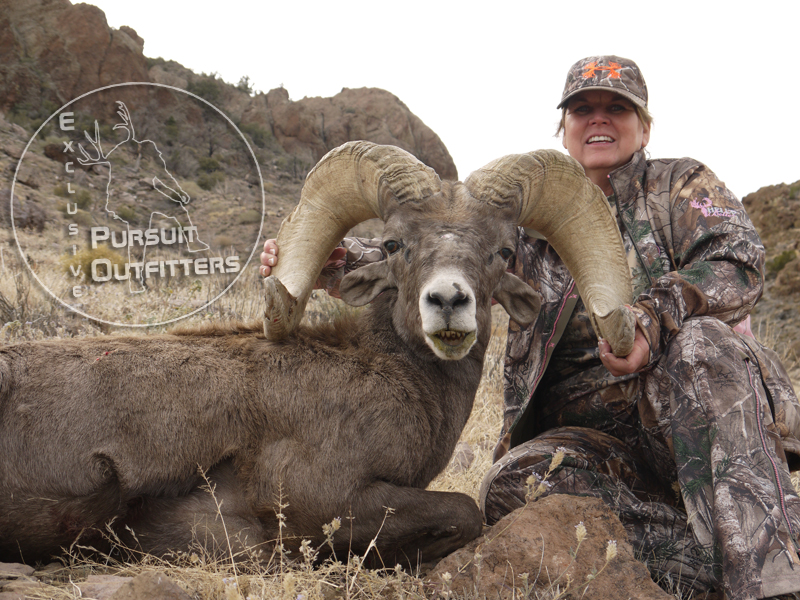 Linda w/ her Book Desert Bighorn Ram!