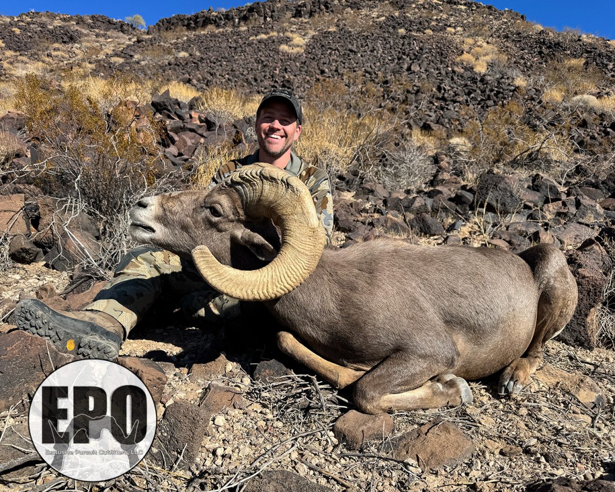 Matt's 16A Ram