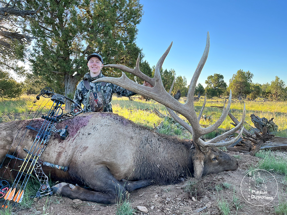 Max arrowed this big old archery bull
