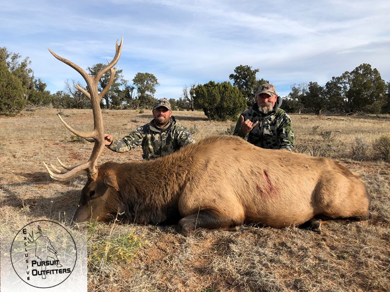 Nate w/ his muzzleloader bull