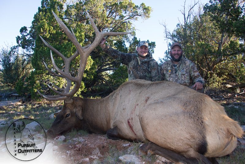 Nick w/ a gorgoues Arizona elk