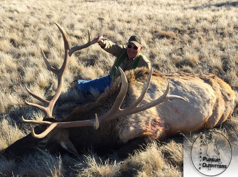 Mike hammered this heavy late season bull