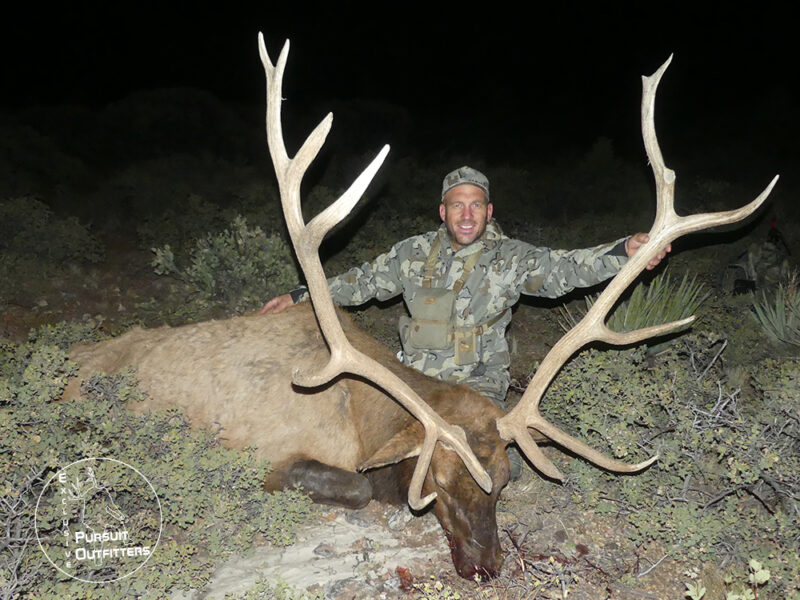 Travis's big late season elk