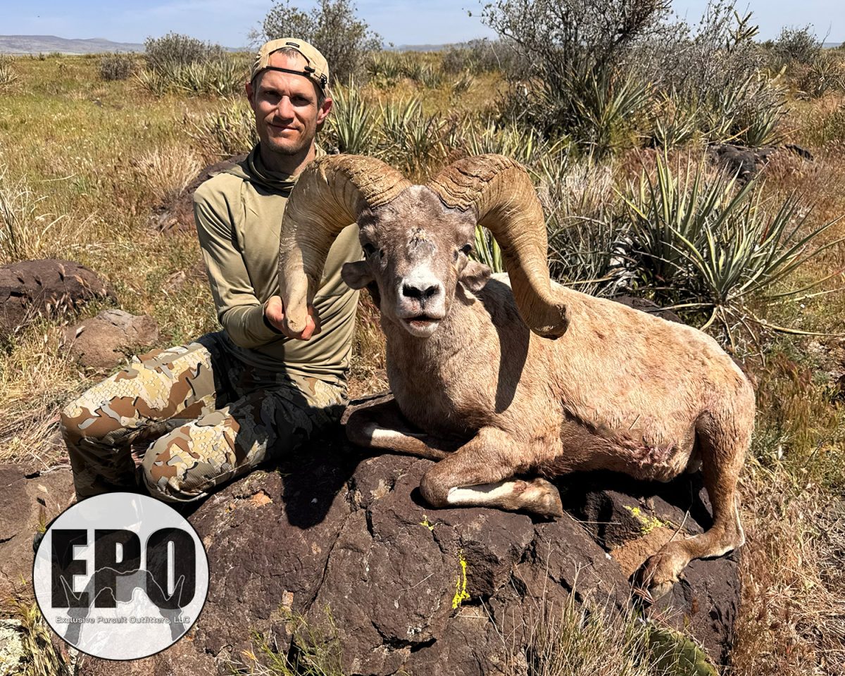 Tyler's Raffle Ram