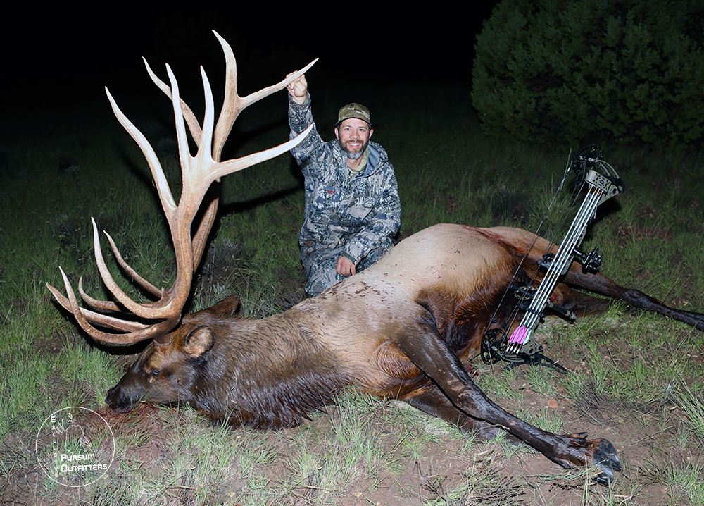 Chad's 383" archery elk